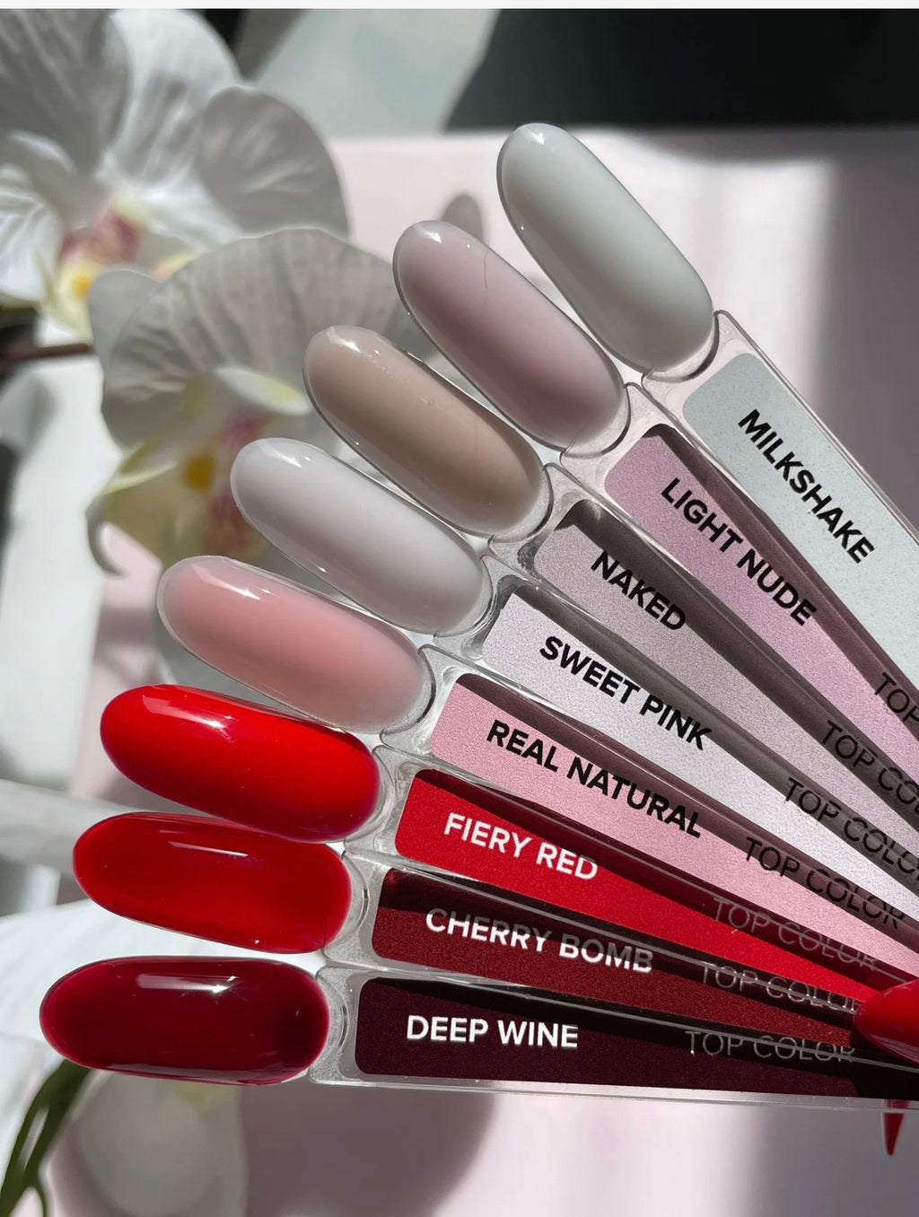 TOP COLOR LIGHT NUDE